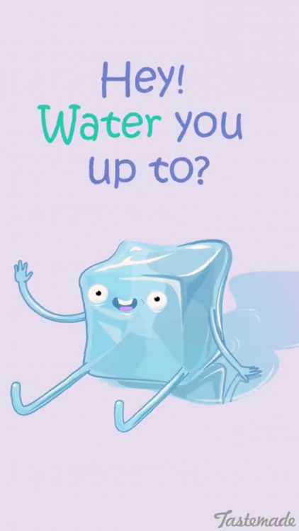 Image result for water puns