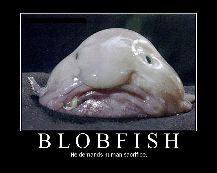 blobfish.JPG