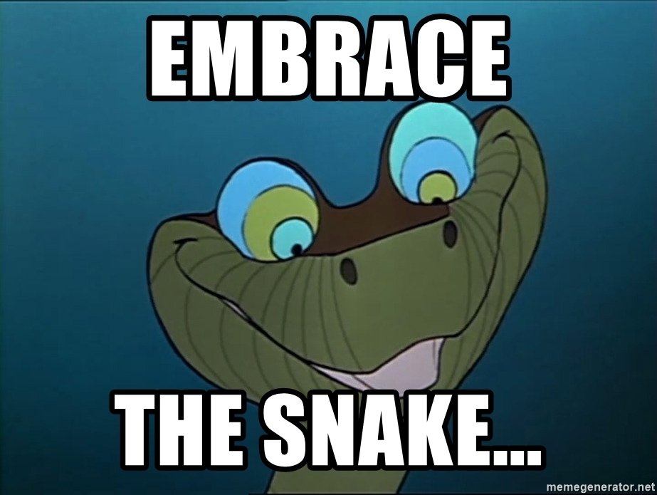 embrace-the-snake.jpg