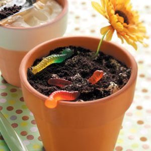 Dirt Cake Recipe | Taste of Home