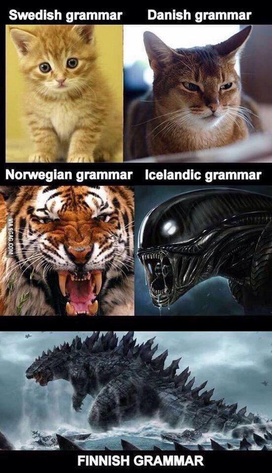 Image result for finnish grammar