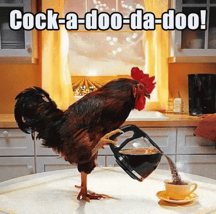 Good Morning Coffee GIF - GoodMorning Coffee Chicken - Discover ...