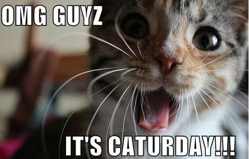 f6c146da47595e7e29ff38b496a2f874--cute-p