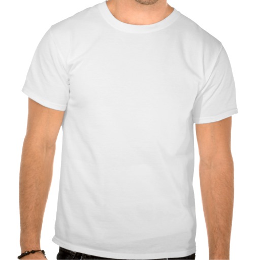 never_forget_double_rainbow_t_shirt-rd6e