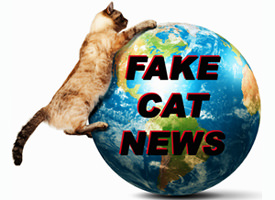 fake-cat-news-logo-small1-1.jpg