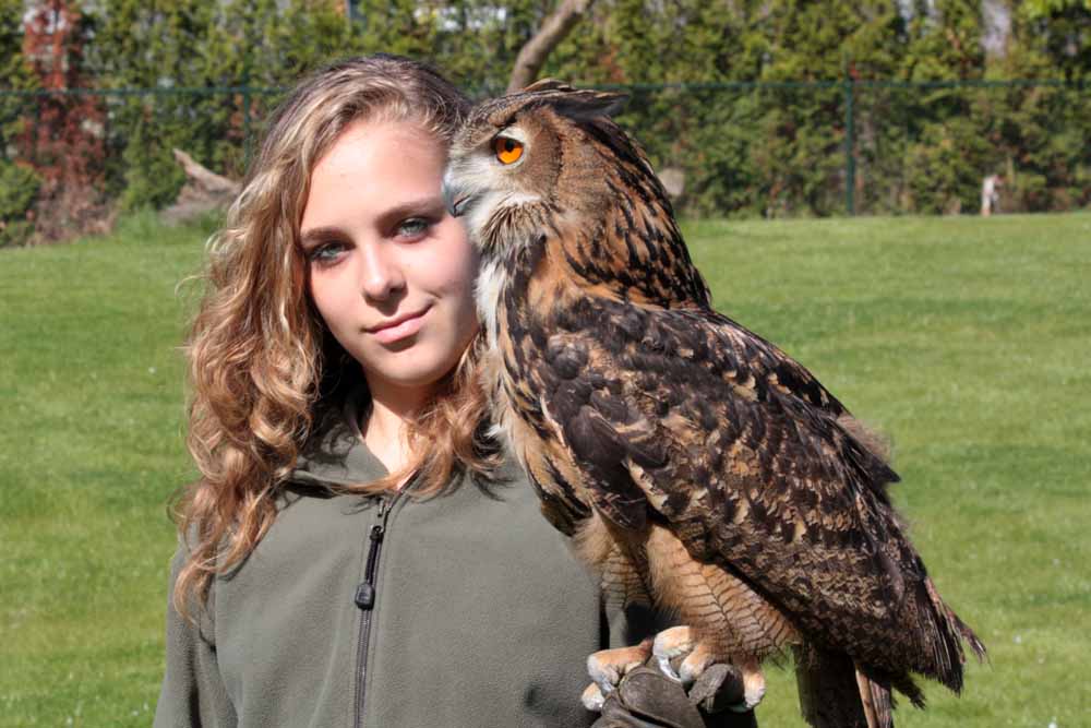 falconry_bubo_bubo.jpg