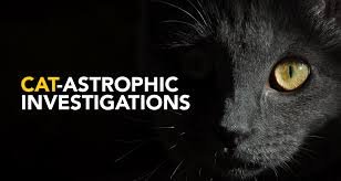 images?q=tbn:ANd9GcQle42WolsUR3jLes5TlS4