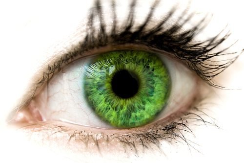 green-eyes.jpg?resize=500,333&ssl=1