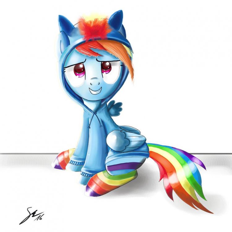 rd_in_dashie_hoodie_by_shogundun_dalblr1