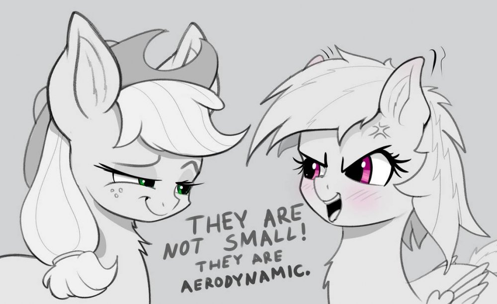 they_are_not_small__they_are_aerodynamic