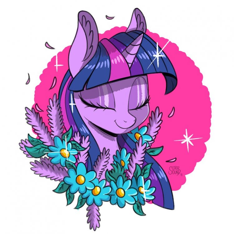 floral_twilight_sparkle_by_colorsoundz-dcr6tbw.png