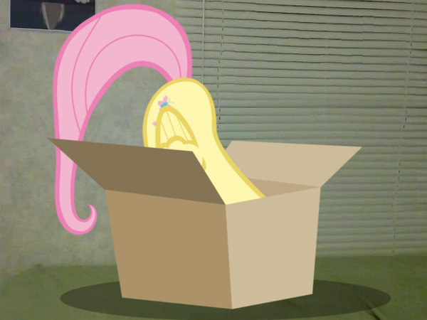 Flutterbox Repost from old account