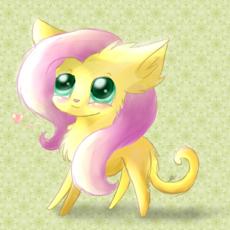 fluttercat_by_evehly-d71g39j.jpg