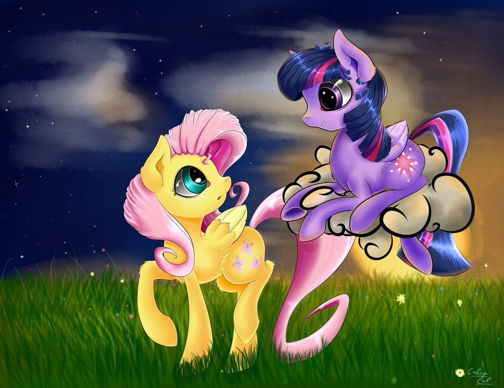 fluttershy_and_twilight_by_carligercarl-