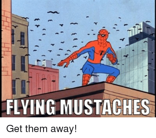 flying-mustaches-get-them-away-22306509.