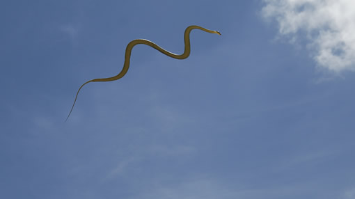 flying_snake.jpg