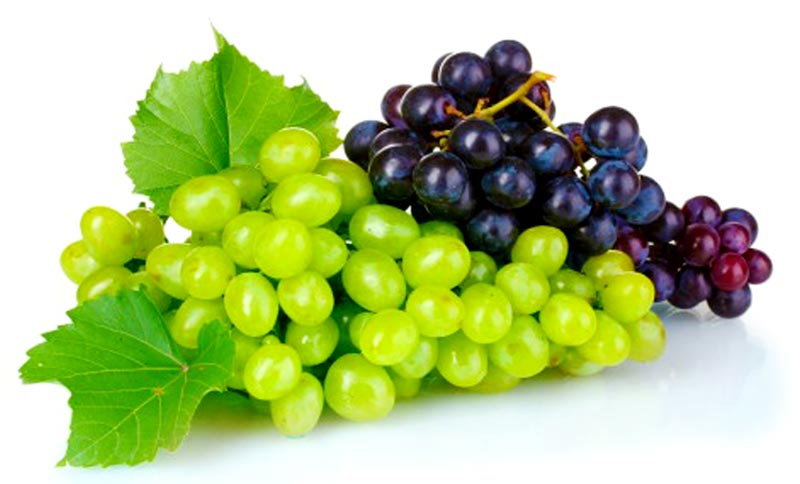 fresh-Grapes.jpg