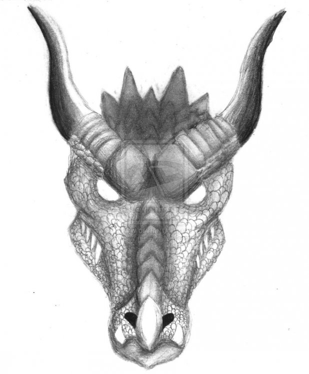 front_view_dragon_by_screaming_cayote-d5