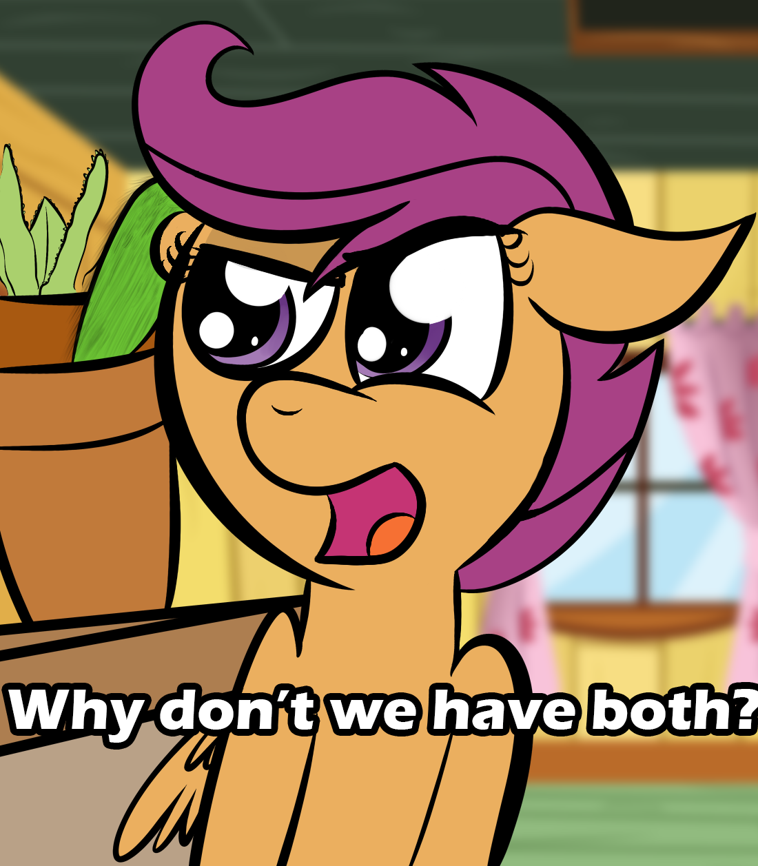 Image result for why not both mlp