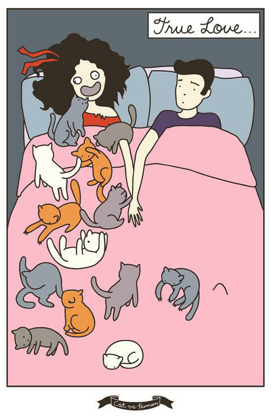 funny-girl-sleeping-cats-bed.jpg