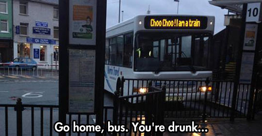 funny-go-home-bus-you-re-drunk-01.jpg