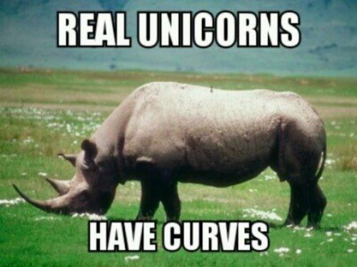funny-memes-real-unicorns-have-curves.jp