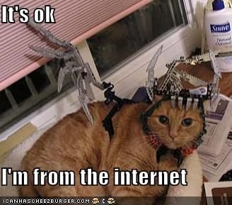 funny-pictures-cat-from-the-internet.jpg