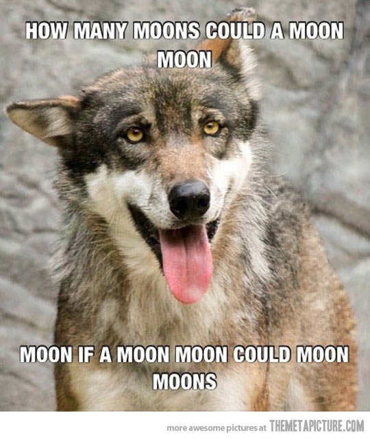 funny-tongue-twister-moon-wolf.jpg