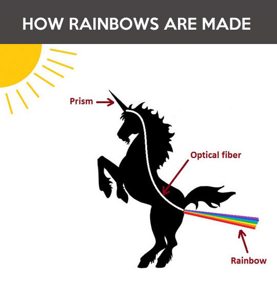 funny-unicorn-rainbow-explanation-body.j