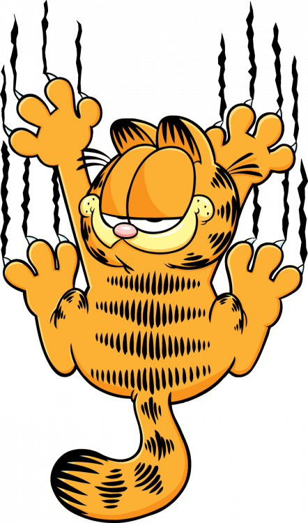 Garfield