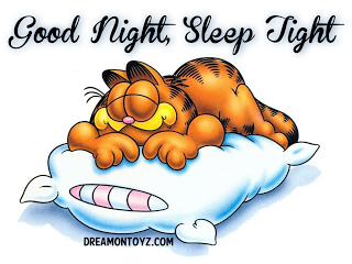 garfieldpillow-goodnight.png