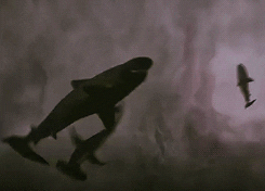 Sharknado GIF - Find & Share on GIPHY