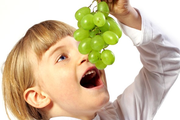 grapes1.jpg