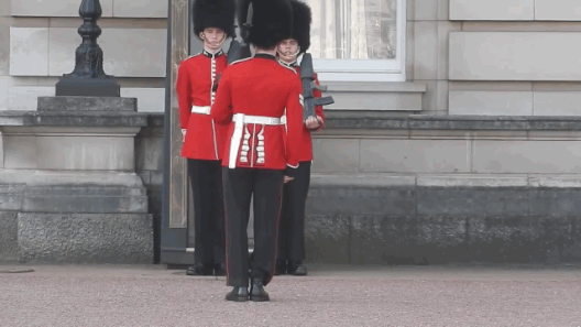 guard.gif