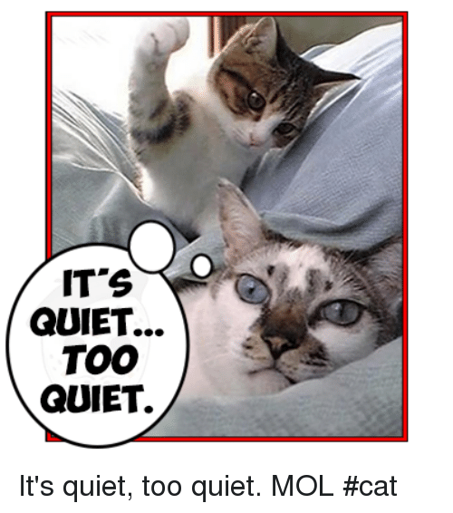guiet-too-quiet-its-quiet-too-quiet-mol-