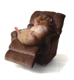 hamsterrelax.gif