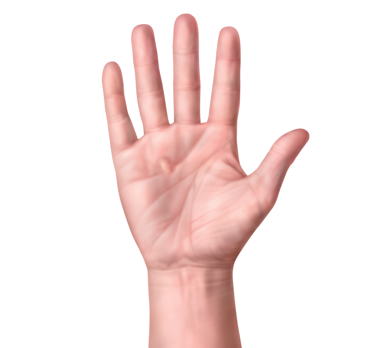 Image result for hand