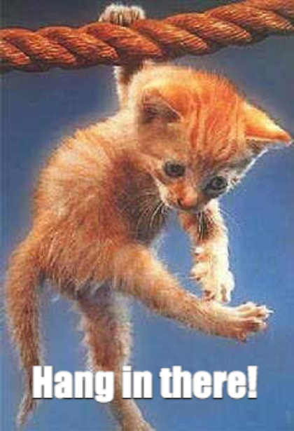 hang-in-there-kitten-54.png