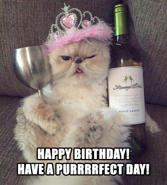 have-a-purrrrfect-day-cat-birthday-meme.