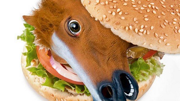 horse-hamburger_tn.jpg