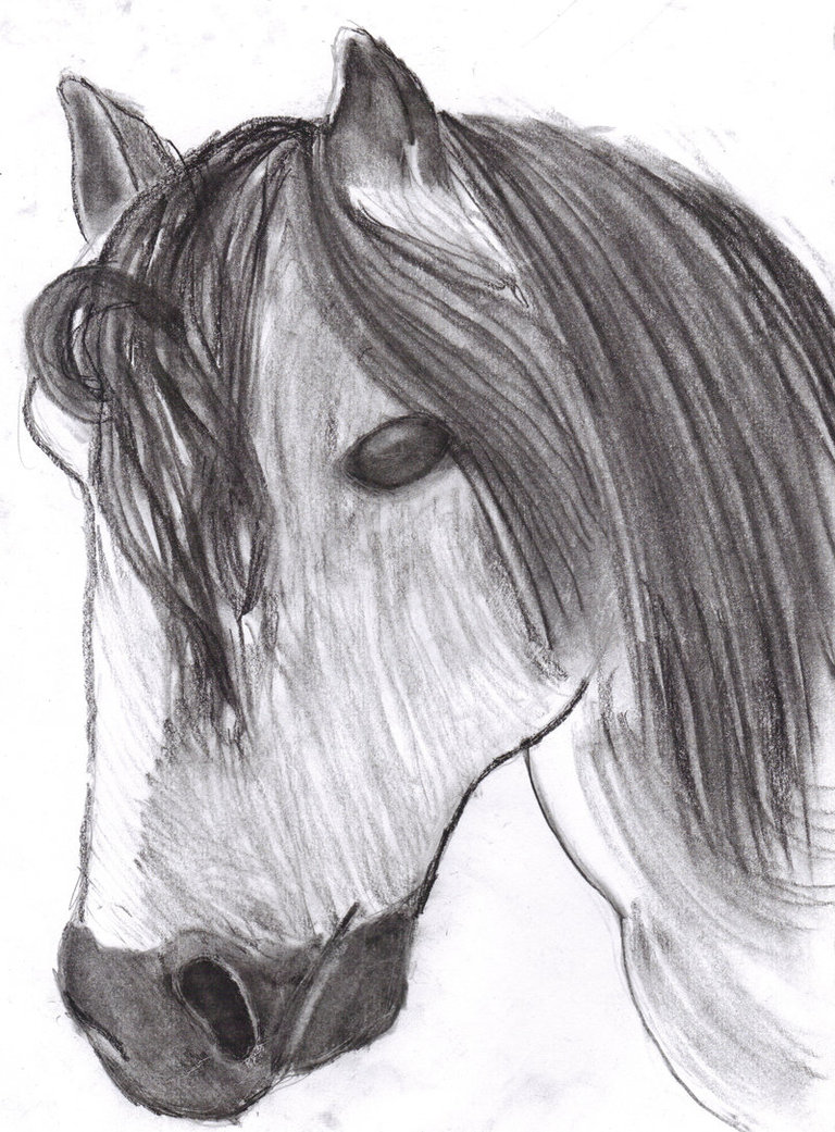 horse_charcoal_by_shobonimaster-d3cwvz0.