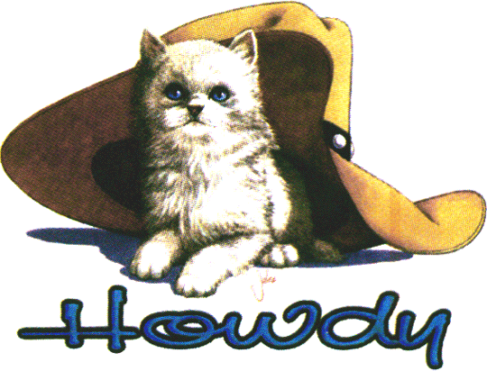 howdy_cat_with_cowboy_hat.gif