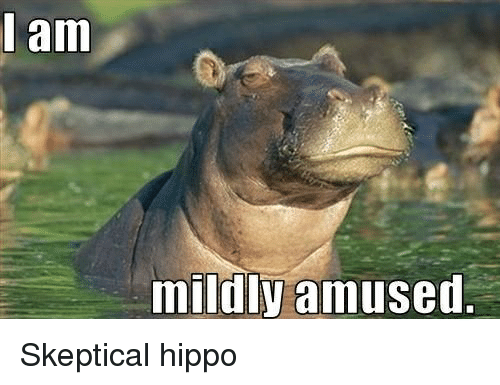 i-am-mildly-amused-skeptical-hippo-19401