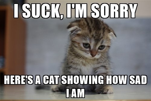 Image result for i'm sorry meme