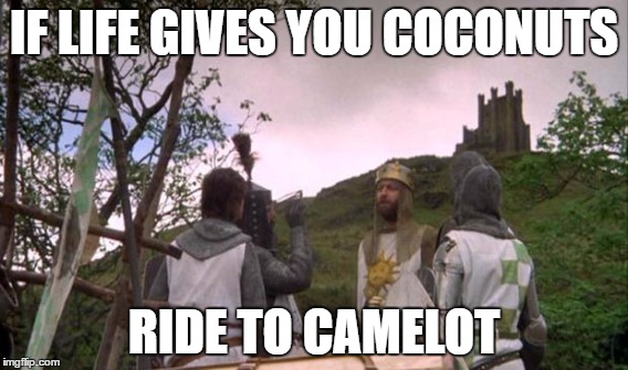 if-life-gives-you-coconuts-ride-to-camel