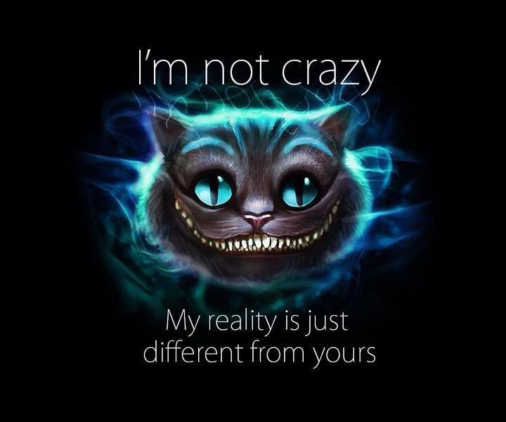 Image result for i'm not crazy