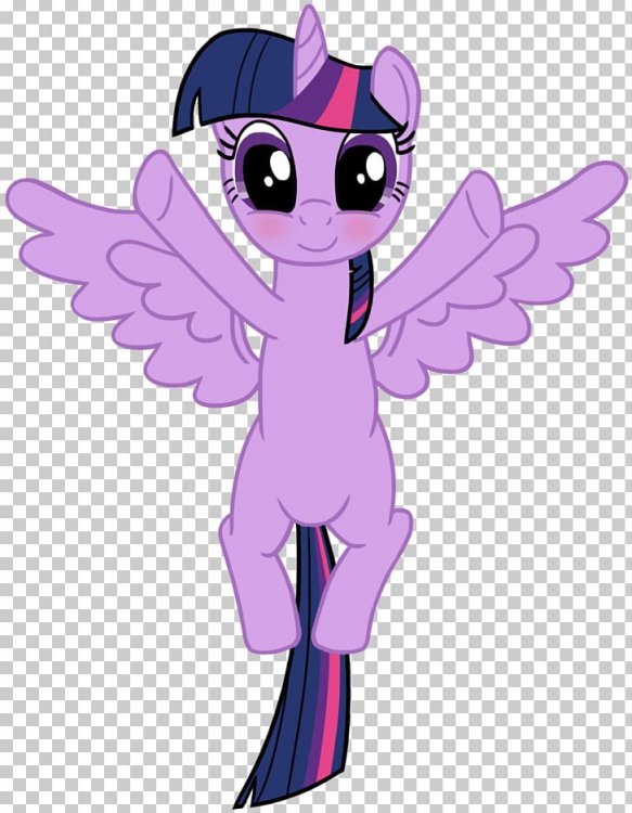 imgbin-pony-twilight-sparkle-princess-ca