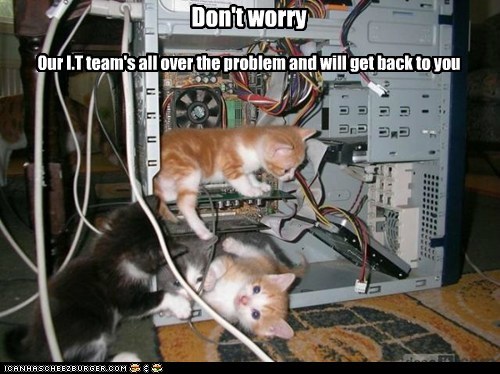 it-kittens.jpg