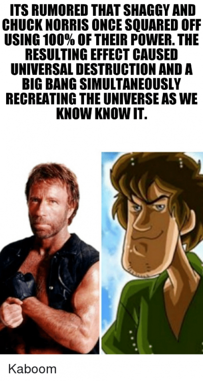 its-rumored-that-shaggy-and-chuck-norris