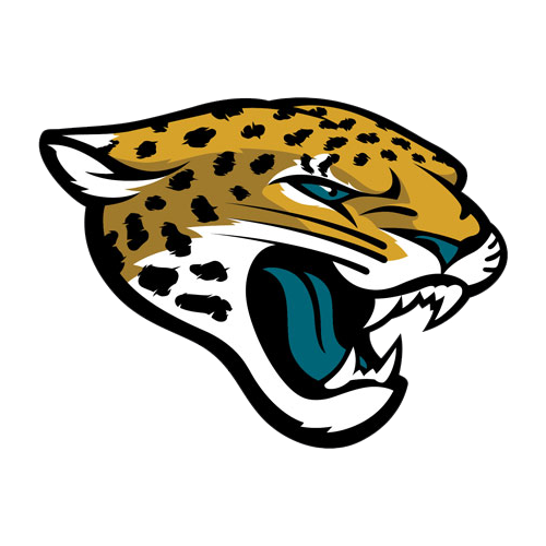 Image result for jacksonville jaguars